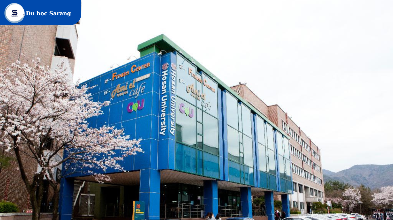 TRƯỜNG ĐH HOSAN HÀN QUỐC